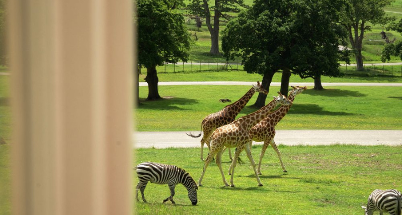 Stay at Longleat